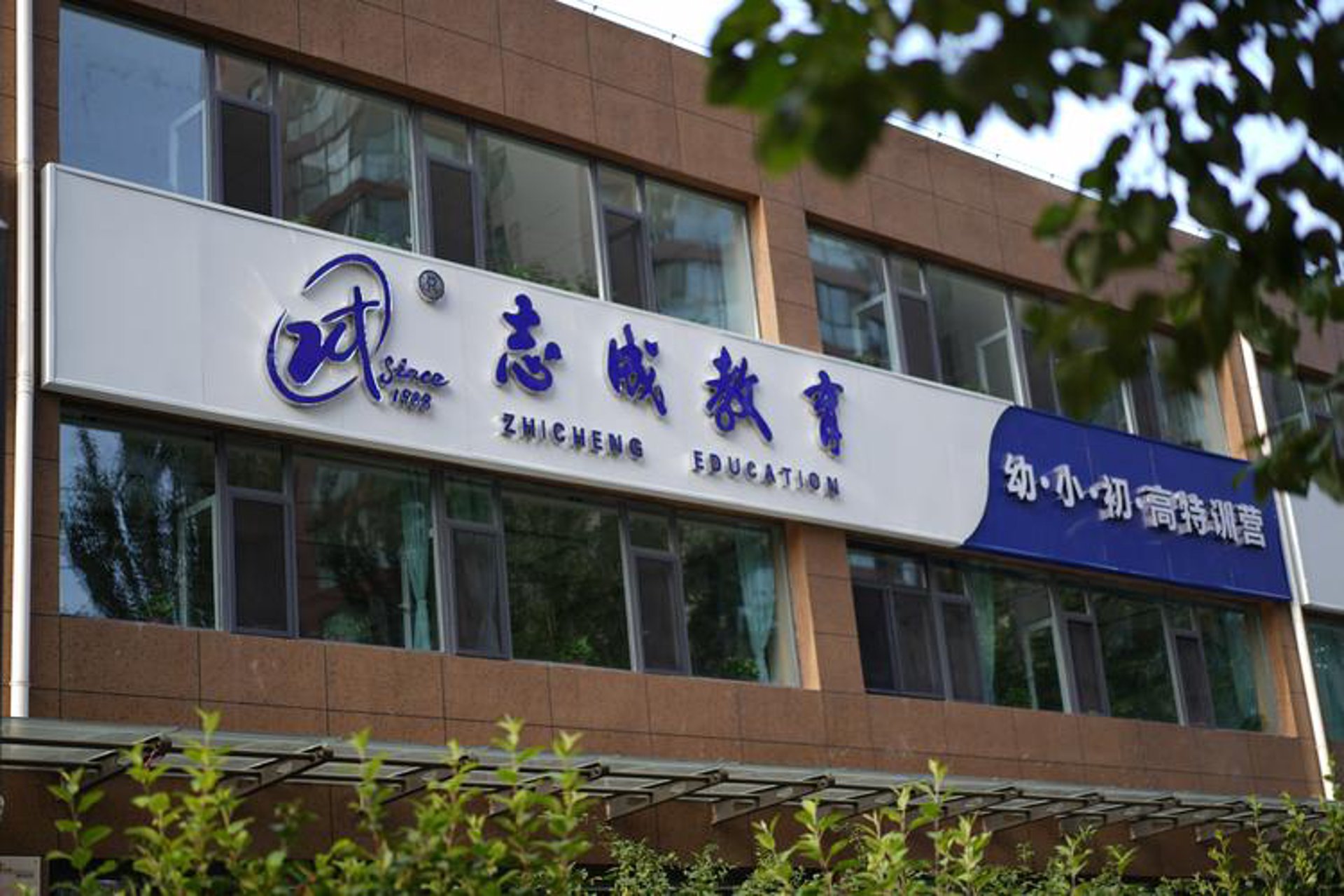 志成博远教育